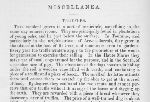 ‘The Veterinarian’ Vol 45 Issue 3 – March 1872
