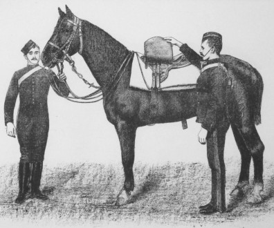 Smith, Fred, "A Manual of Saddles and Sore Backs" (1891)