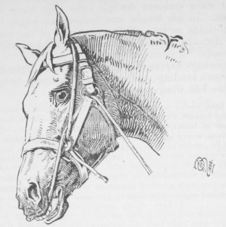 ‘The Veterinarian’ Vol 69 Issue 2 – February 1896