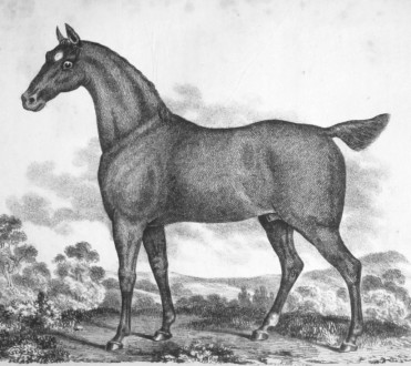 ‘Farrier and Naturalist’ Vol 1 Issue 9 – September 1828
