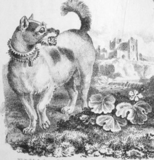 ‘Farrier and Naturalist’ Vol 1 Issue 10 – October 1828
