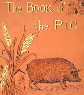 Long, James – “The Book of the Pig: Its Selection, Breeding, Feeding, and Management” (c.1880)